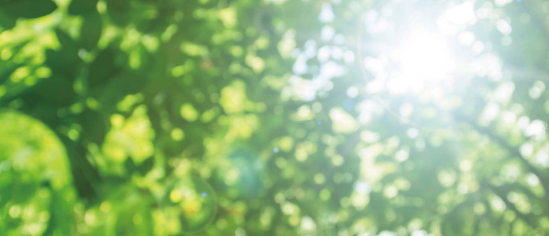 イエス・キリストの福音